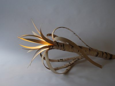 Lire la suite à propos de l’article La lampe BOULEAU