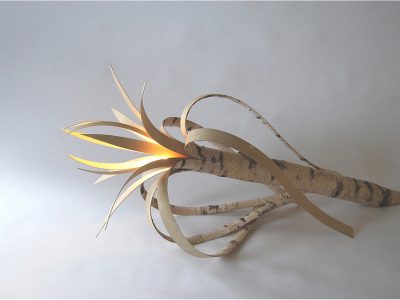 Lire la suite à propos de l’article the BIRCH lamp