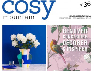 Lire la suite à propos de l’article Cosy mountain n°36