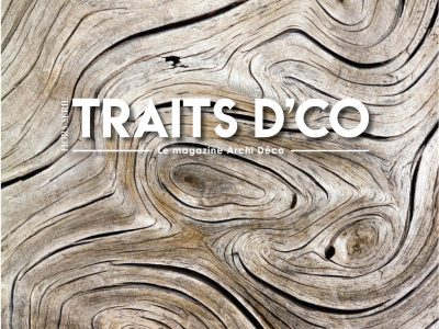 Lire la suite à propos de l’article Traits D’CO